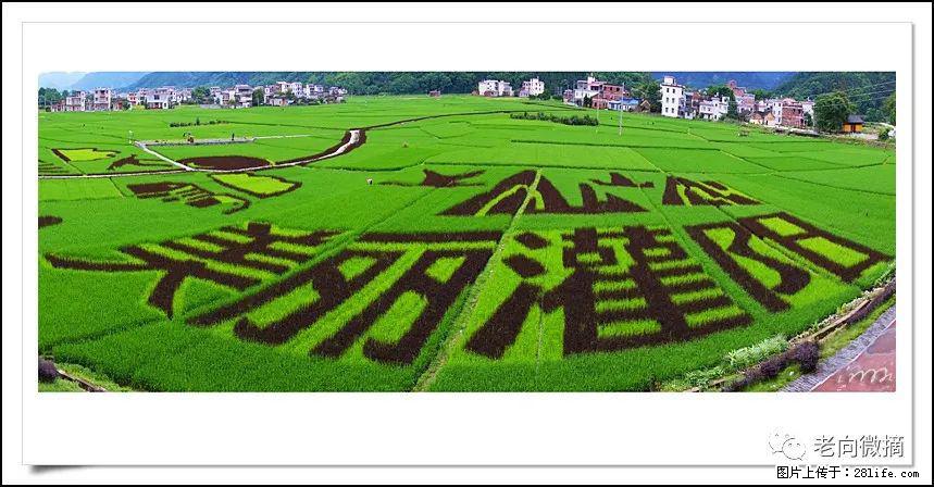 【春天，广西桂林灌阳县向您发出邀请！】开篇 - 游山玩水 - 锡林郭勒盟生活社区 - 锡林郭勒盟28生活网 xl.28life.com