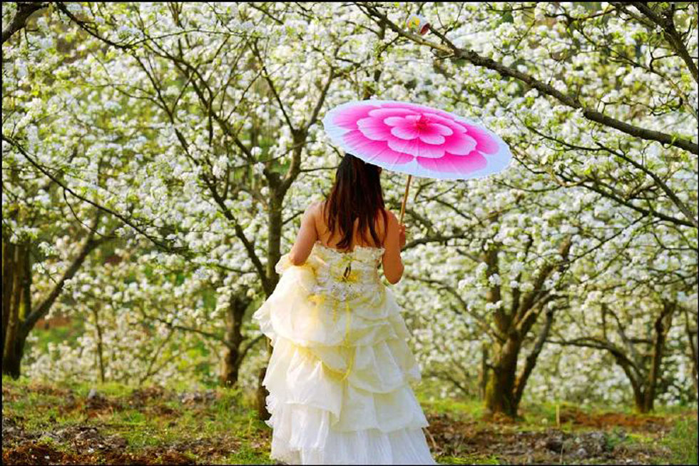 【春天，广西桂林灌阳县向您发出邀请！】我们在灌阳看梨花 - 游山玩水 - 锡林郭勒盟生活社区 - 锡林郭勒盟28生活网 xl.28life.com