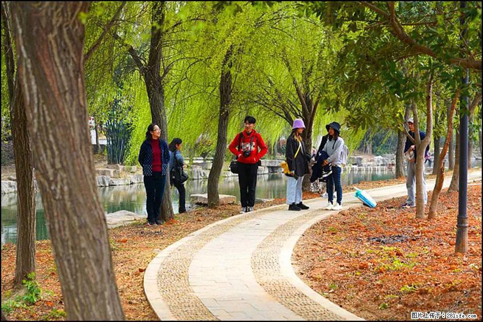 【春天,广西桂林灌阳县向您发出邀请!】江口老街又逢春 - 游山玩水 - 锡林郭勒盟生活社区 - 锡林郭勒盟28生活网 xl.28life.com