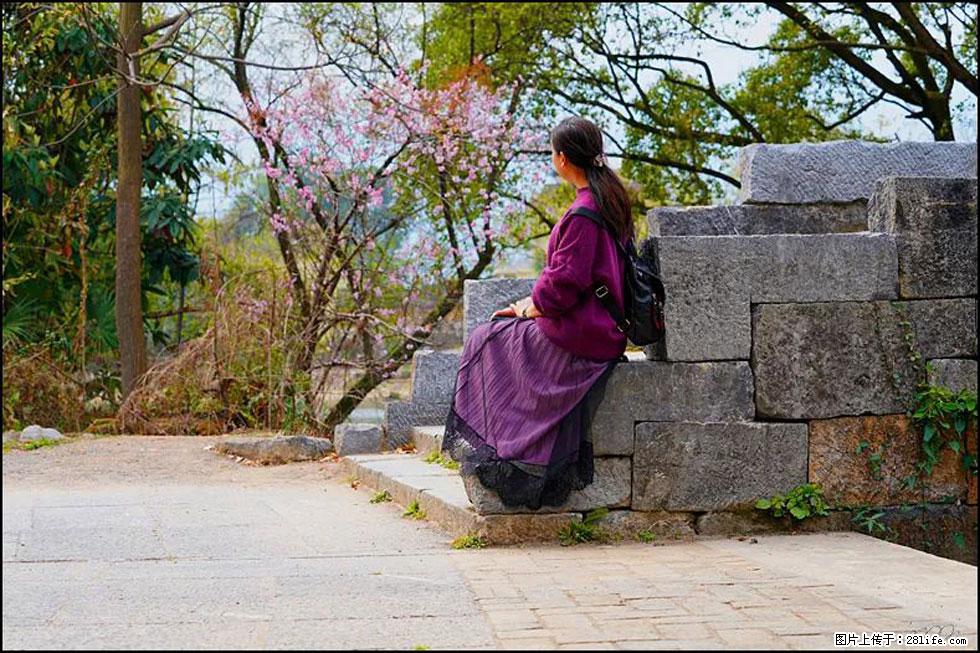 【春天,广西桂林灌阳县向您发出邀请!】江口老街又逢春 - 游山玩水 - 锡林郭勒盟生活社区 - 锡林郭勒盟28生活网 xl.28life.com