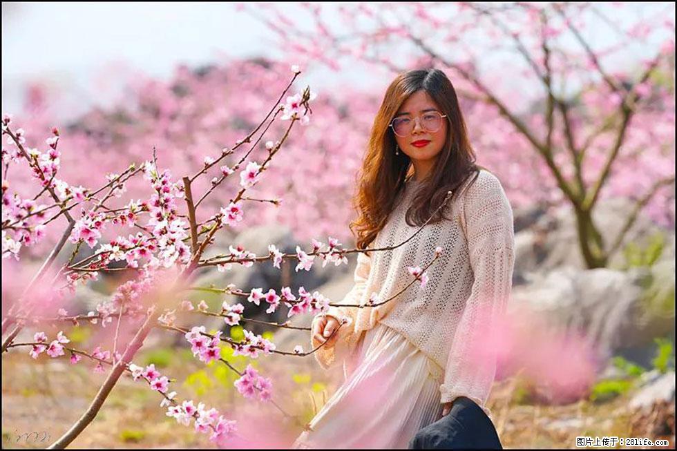 【春天,广西桂林灌阳县向您发出邀请!】望月岭上桃花开 - 游山玩水 - 锡林郭勒盟生活社区 - 锡林郭勒盟28生活网 xl.28life.com