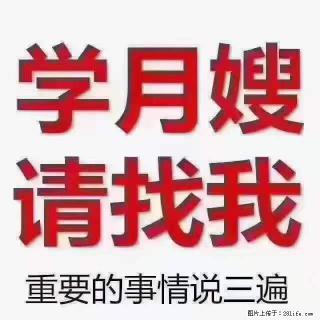 为什么要学习月嫂，育婴师？ - 锡林郭勒盟28生活网 xl.28life.com