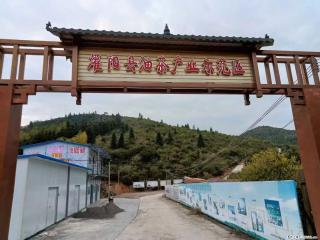 【灌阳县油茶产业示范区】一个有着充实的精神生活的人，对待身外之物自会有一种淡泊的态度 - 锡林郭勒盟28生活网 xl.28life.com