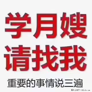【招聘】月嫂，上海徐汇区 - 锡林郭勒盟28生活网 xl.28life.com