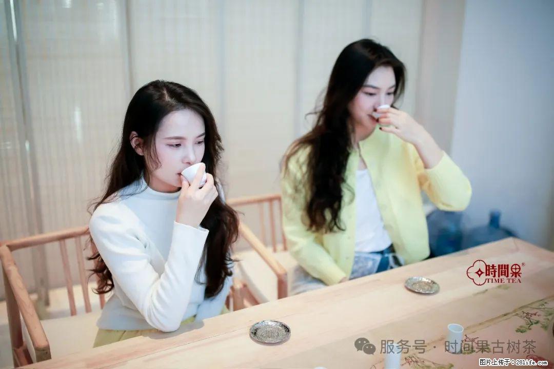 时间果百年古树龙珠普洱生茶 - 购物交流 - 锡林郭勒盟生活社区 - 锡林郭勒盟28生活网 xl.28life.com