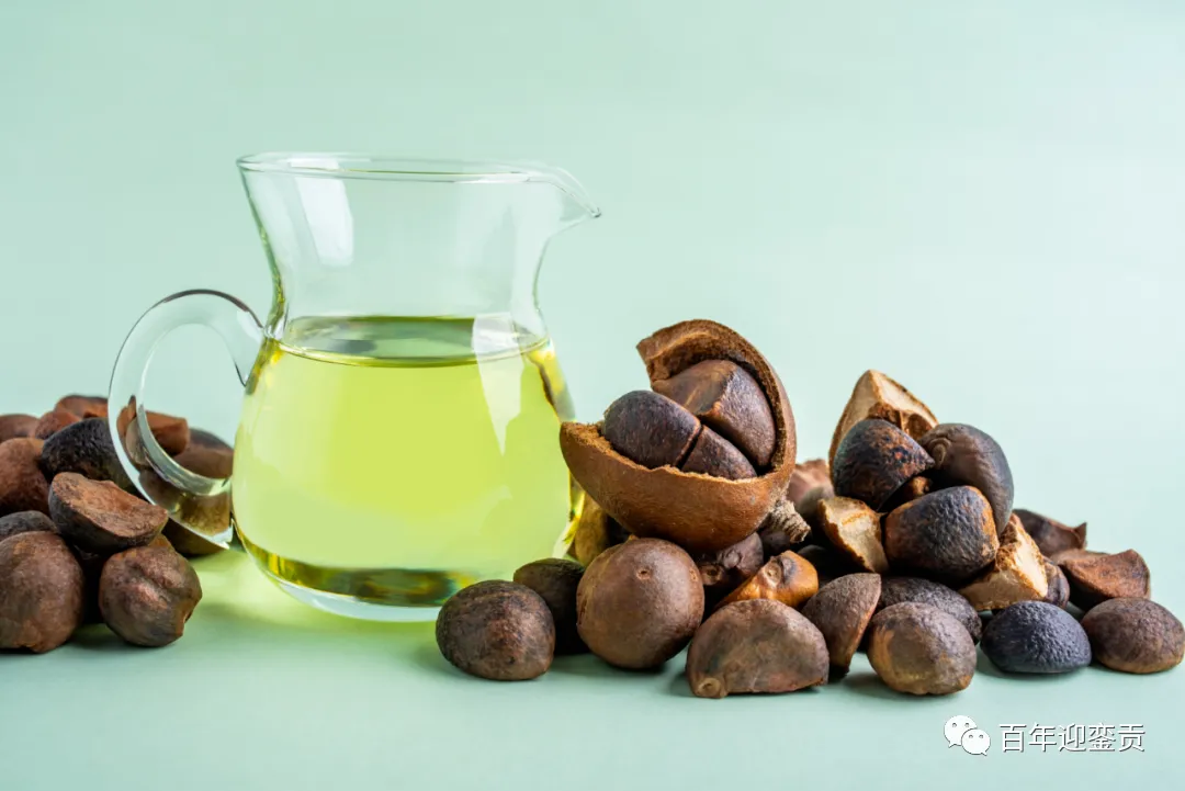 世界没有真相,只有认知,最好的食用油是中国的山茶油! - 锡林郭勒盟生活资讯 - 锡林郭勒盟28生活网 xl.28life.com