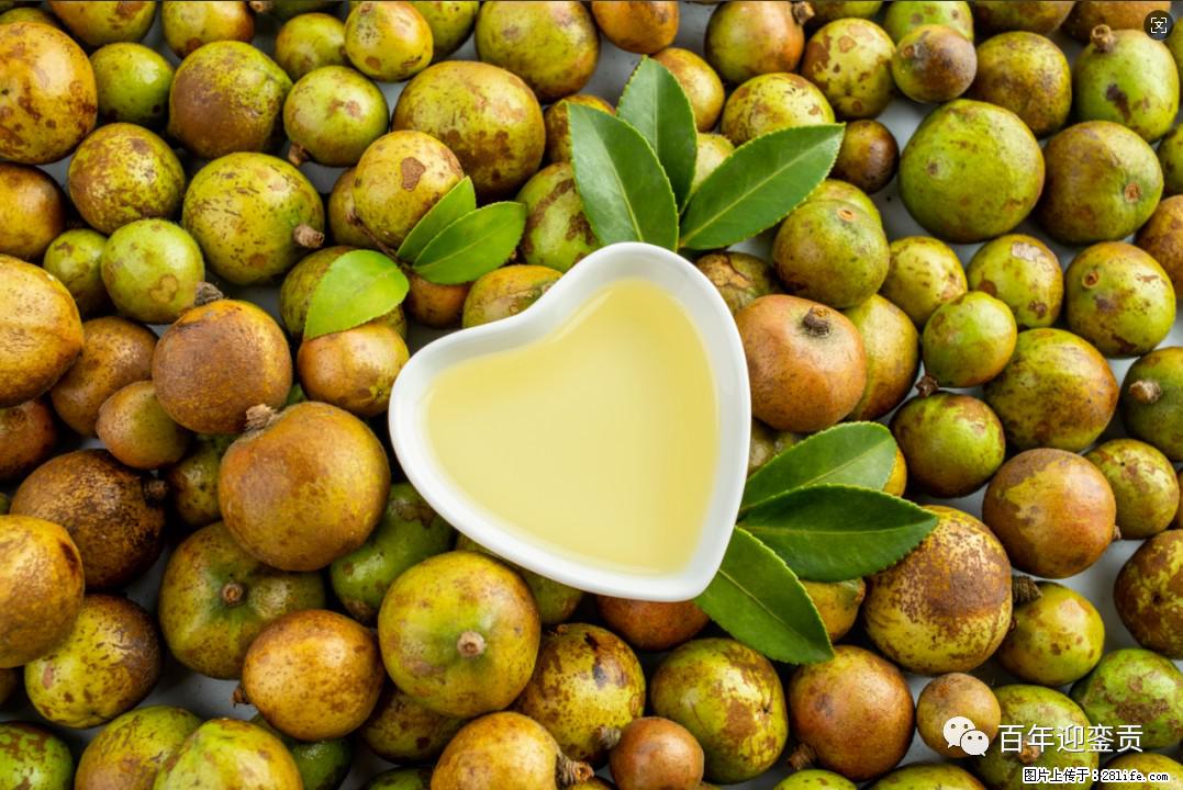 世界没有真相,只有认知,最好的食用油是中国的山茶油! - 锡林郭勒盟生活资讯 - 锡林郭勒盟28生活网 xl.28life.com