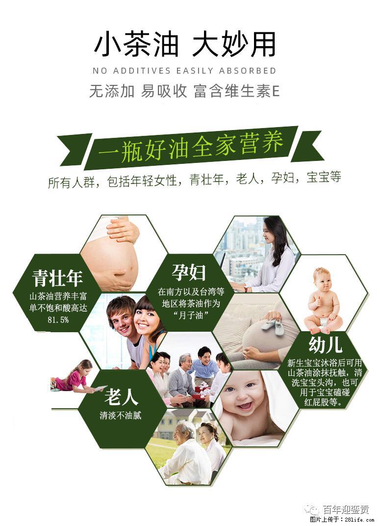 世界没有真相,只有认知,最好的食用油是中国的山茶油! - 锡林郭勒盟生活资讯 - 锡林郭勒盟28生活网 xl.28life.com