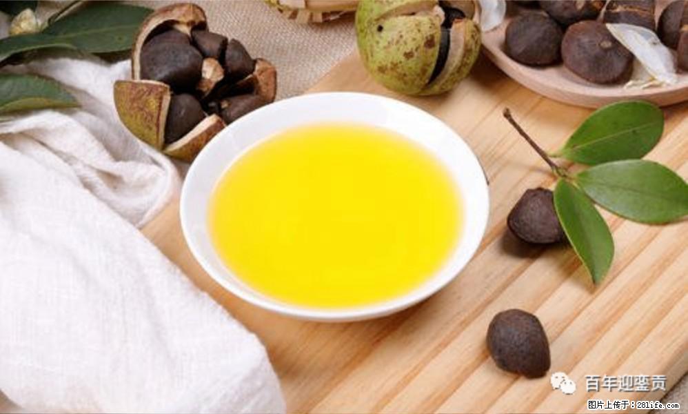 世界没有真相,只有认知,最好的食用油是中国的山茶油! - 锡林郭勒盟生活资讯 - 锡林郭勒盟28生活网 xl.28life.com