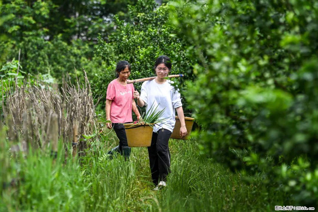 全网追的“扁担女孩”,找了一份暑假工,时薪12元 - 锡林郭勒盟生活资讯 - 锡林郭勒盟28生活网 xl.28life.com