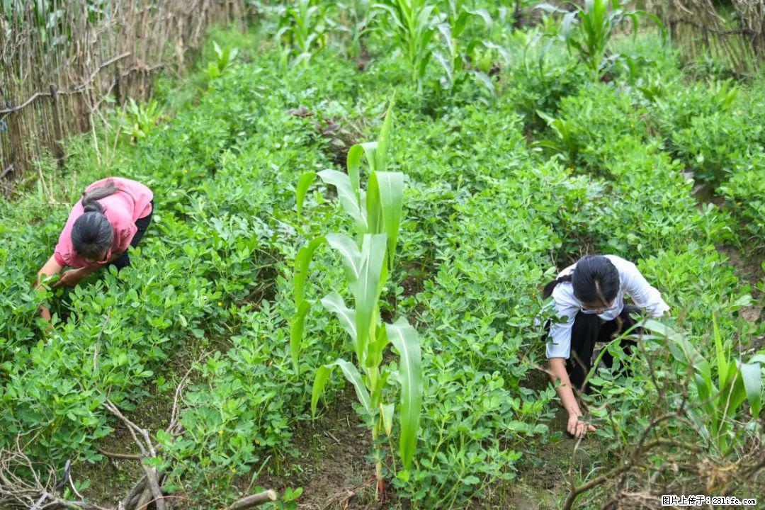 全网追的“扁担女孩”,找了一份暑假工,时薪12元 - 锡林郭勒盟生活资讯 - 锡林郭勒盟28生活网 xl.28life.com