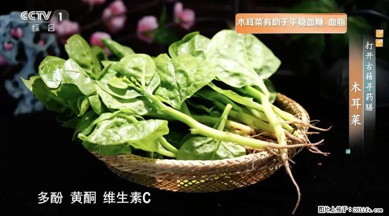 比牛奶补钙还厉害!凉血解毒、稳血糖...这菜冬天必吃,很多人却当草 - 锡林郭勒盟生活资讯 - 锡林郭勒盟28生活网 xl.28life.com