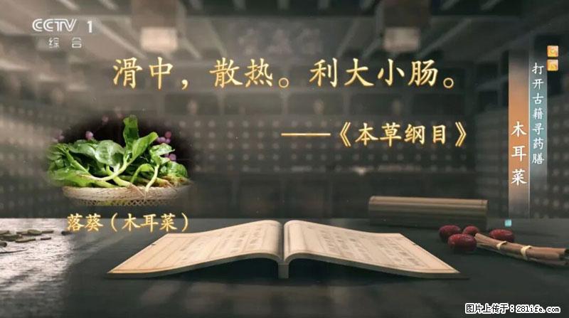 比牛奶补钙还厉害!凉血解毒、稳血糖...这菜冬天必吃,很多人却当草 - 锡林郭勒盟生活资讯 - 锡林郭勒盟28生活网 xl.28life.com