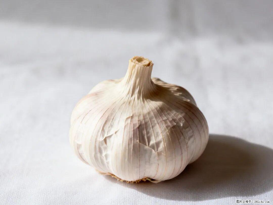关于大蒜,除了“天然抗生素”,这4个谣言更该警惕! - 锡林郭勒盟生活资讯 - 锡林郭勒盟28生活网 xl.28life.com
