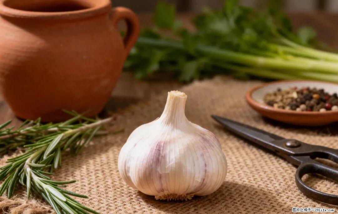 关于大蒜,除了“天然抗生素”,这4个谣言更该警惕! - 锡林郭勒盟生活资讯 - 锡林郭勒盟28生活网 xl.28life.com