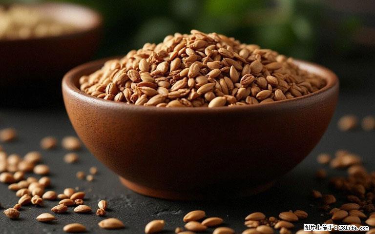 这三苦是三高“克星”,心血管干净不易堵!每天吃一点,指标慢慢降下来~ - 锡林郭勒盟生活资讯 - 锡林郭勒盟28生活网 xl.28life.com