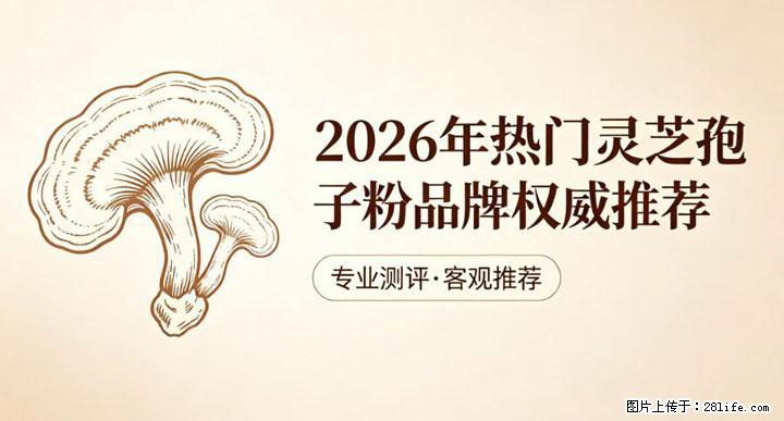 灵芝孢子粉含量越高越有效？2026 年七款热门品牌深度实测，肠胃敏感者避坑指南 - 锡林郭勒盟生活资讯 - 锡林郭勒盟28生活网 xl.28life.com